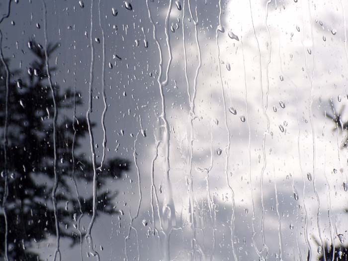 بارش باران در هشت استان از امروز