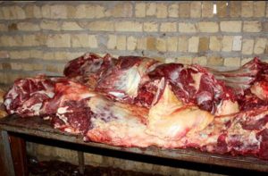 کشف گوشت الاغ در یک مرکز پذیرایی در شهرستان بینالود/ عامل توزیع گوشت الاغ دستگیر شد
