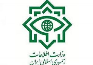 وزارت اطلاعات: اقدامات ۳۰ گروه تروریستی در کشور خنثی شد