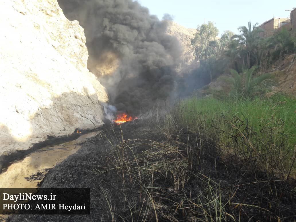 آتش سوزی در نیزار جنب چاه نفتی شماره ۱ مسجدسلیمان + فیلم و تصاویر