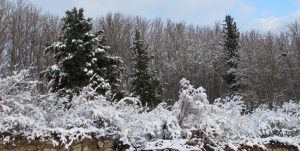 ۶ روز برف و باران برای ۳۱ استان کشور