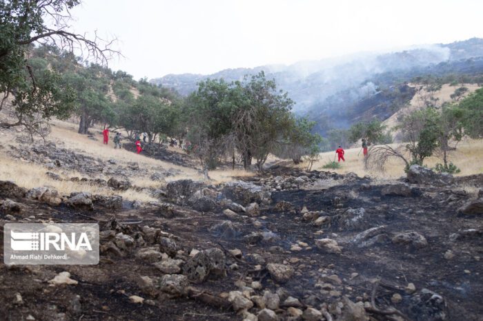 ۷۰ هکتار از مراتع منطقه حفاظت شده شیمبار اندیکا خاکستر شد