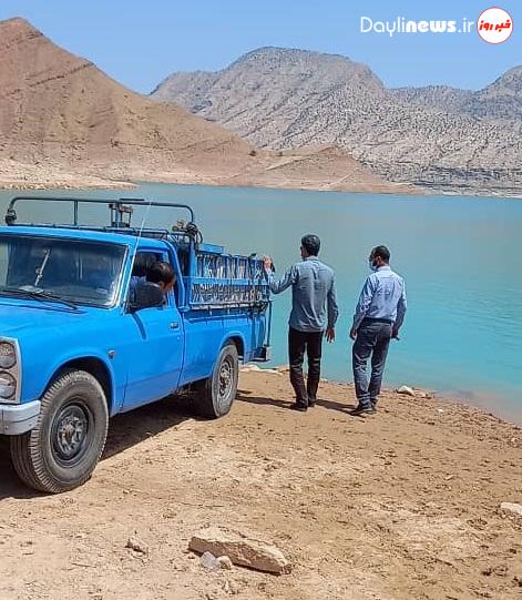 رهاسازی ۱۹۰ هزار قطعه بچه ماهی در دریاچه سد شهید عباسپور شهرستان اندیکا