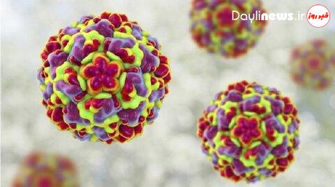 شناسایی یک ویروس عفونی در حال ظهور در ژاپن