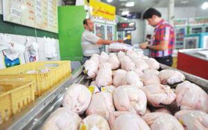 قیمت مرغ امروز ۱۴ آبان ۱۴۰۱