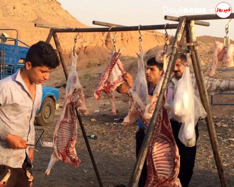 گردن از مو باریک‌تر سرمایه‌گذار/ تیغ برنده دامپزشکی فقط برای کشتارگاه اهواز و آزادی ذبح غیرمجاز در خوزستان