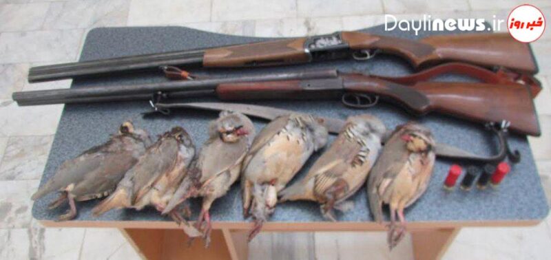 ٩١ روز حبس برای شکارچی غیر مجاز در لرستان