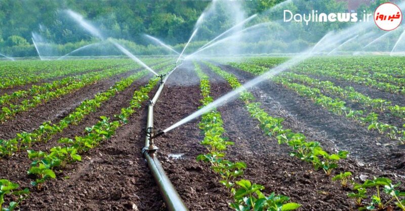 لرستان پیشتاز در بهینه‌سازی مصرف آب در بخش کشاورزی است