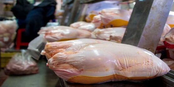 ورود مرغ‌ های آلوده به بازار ایران!/ رئیس‌جمهور مانع از واردات مرغ از بلاروس شود